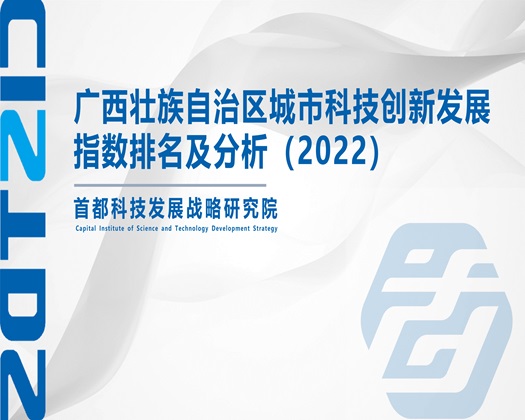 看女生逼逼网页【成果发布】广西壮族自治区城市科技创新发展指数排名及分析（2022）